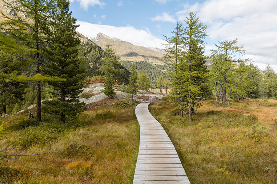 Nationalpark Stilfser Joch