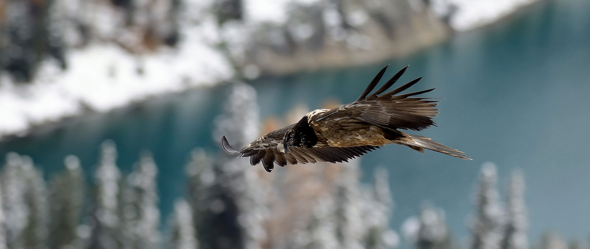 Naturparadies Vinschgau