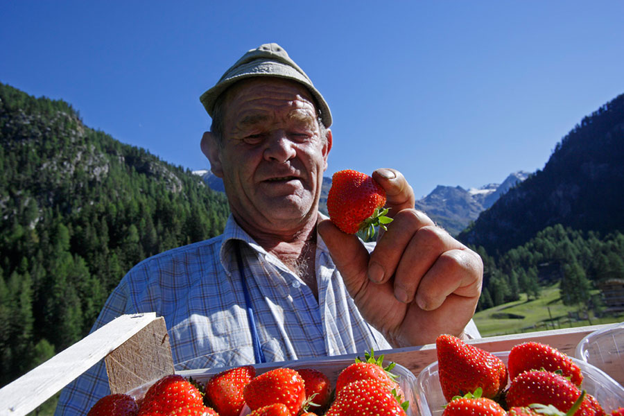 Südtiroler Erdbeerfest